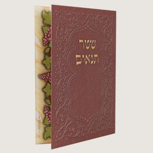 520X520 H150 שטר התנאים