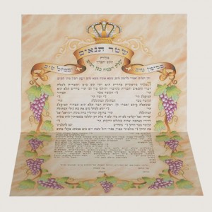 520X520 H150 שטר התנאים פתוח