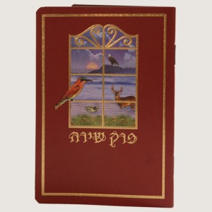 520X520 H247 פרק שירה אדום