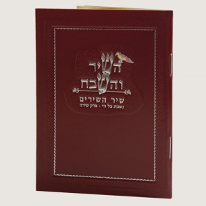 520X520 H264 השיר והשבח בורדו כסף זעיר