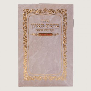 520X520 H321 ברכת המזון